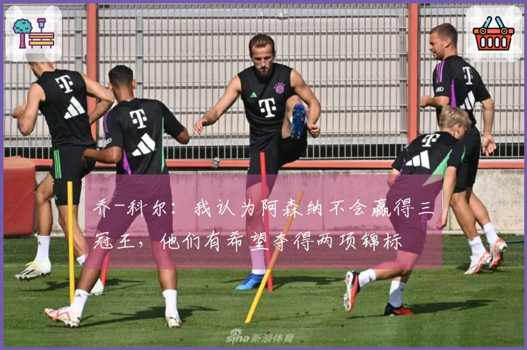 乔-科尔：我认为阿森纳不会赢得三冠王，他们有希望夺得两项锦标