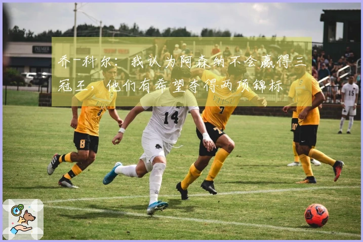 乔-科尔：我认为阿森纳不会赢得三冠王，他们有希望夺得两项锦标