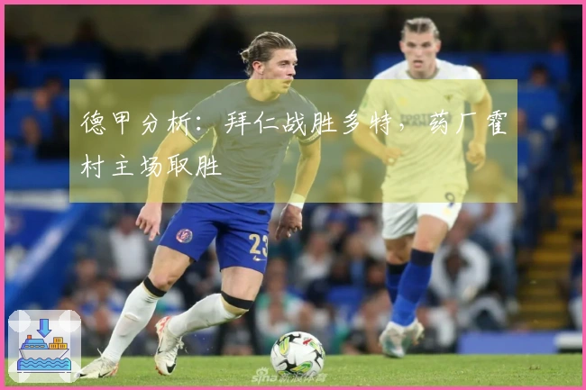 德甲分析：拜仁战胜多特，药厂霍村主场取胜